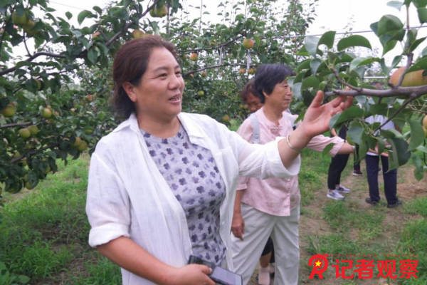 图片2 图片2