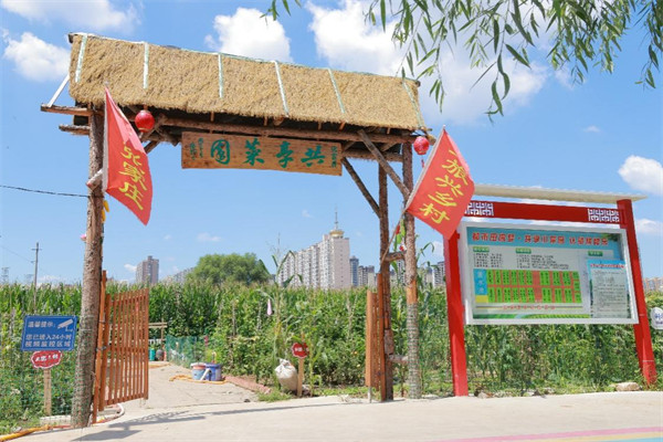 图片1 图片1