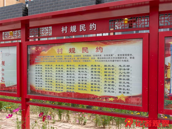 图片7 图片7