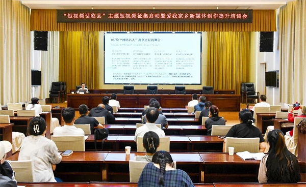 图片11 图片11