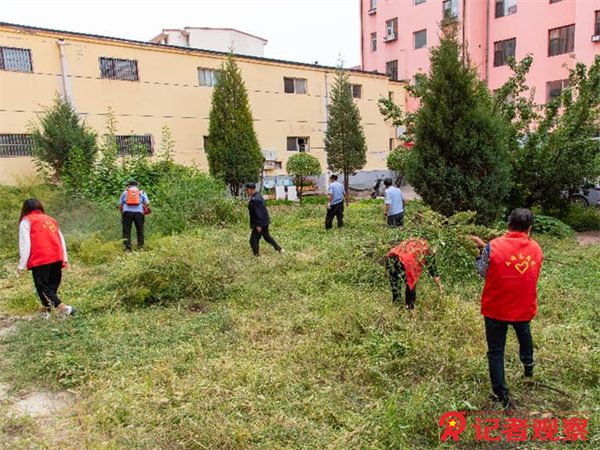 图片14 图片14