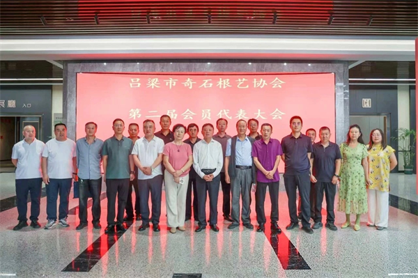图片14