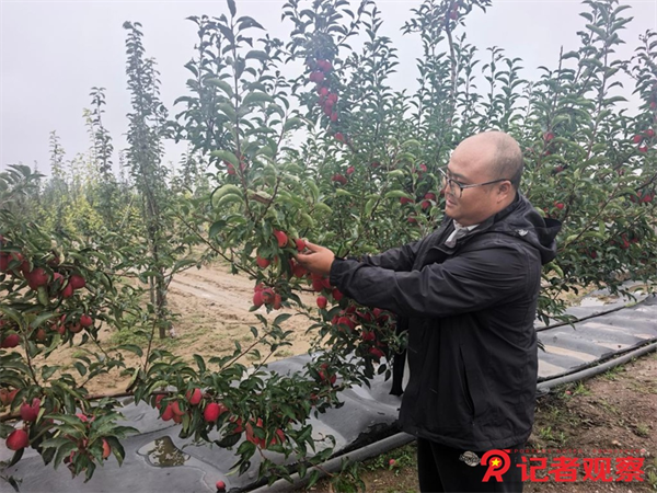 图片19 图片19