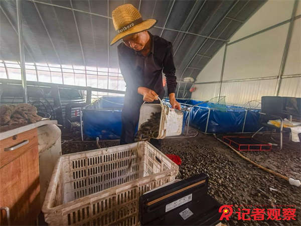 图片36