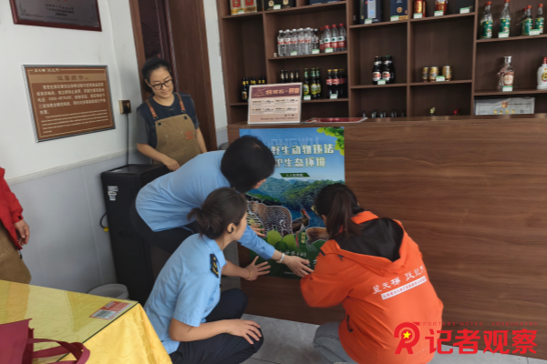 图片5 图片5