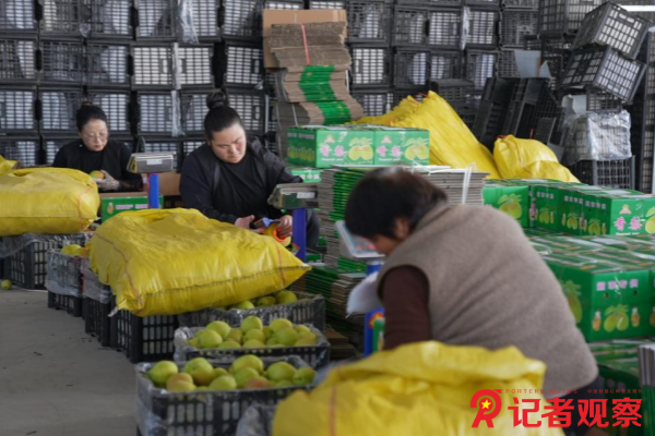 图片2 图片2