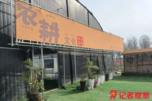 图片5 图片5