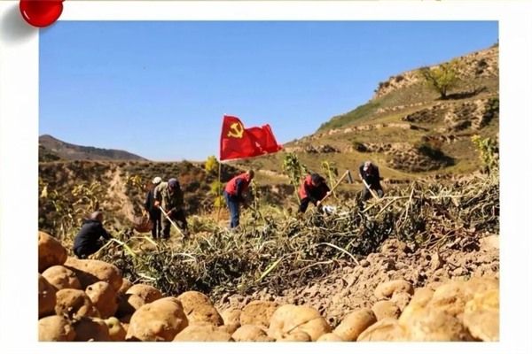 图片4 图片4